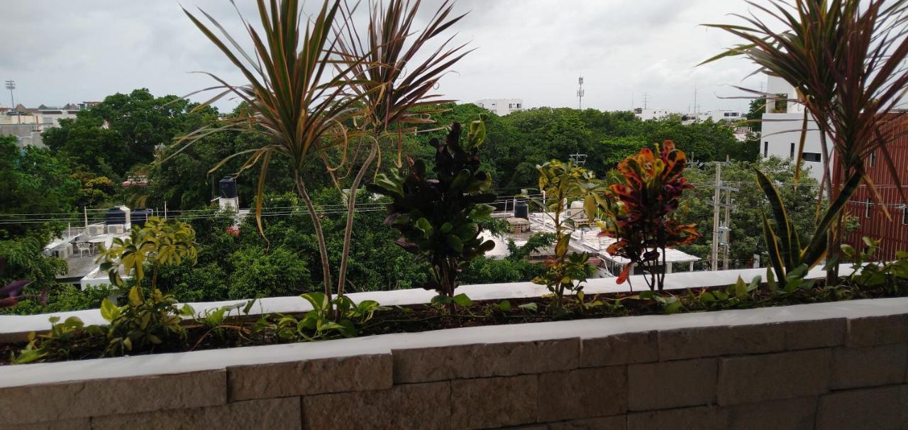 Suites Calle 38 Playa del Carmen Buitenkant foto