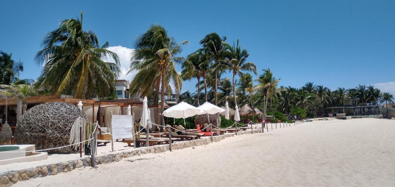 Suites Calle 38 Playa del Carmen Buitenkant foto