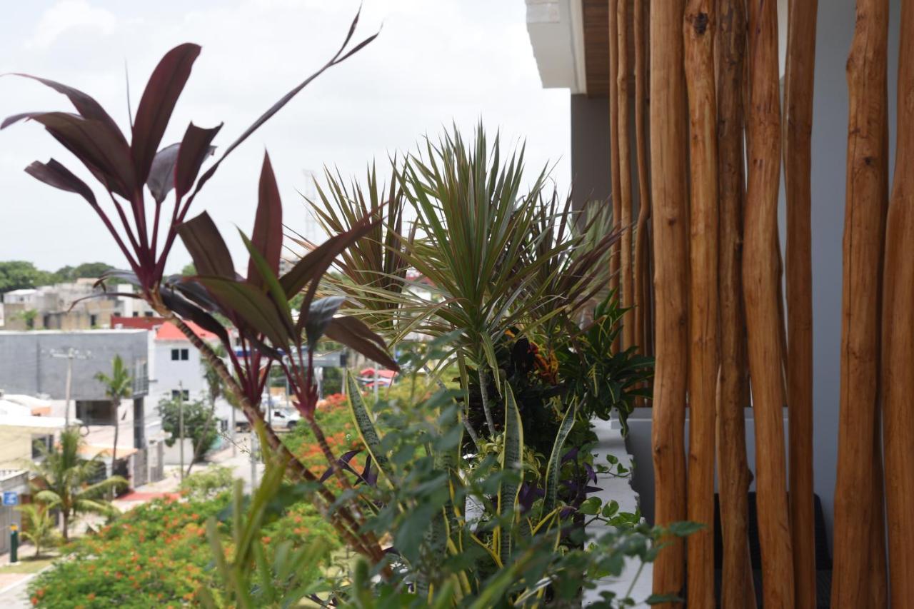 Suites Calle 38 Playa del Carmen Buitenkant foto